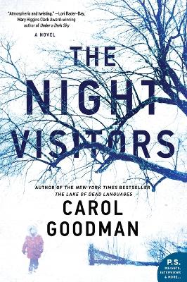 The Night Visitors: A Novel book