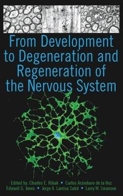 From Development to Degeneration and Regeneration of the Nervous System book