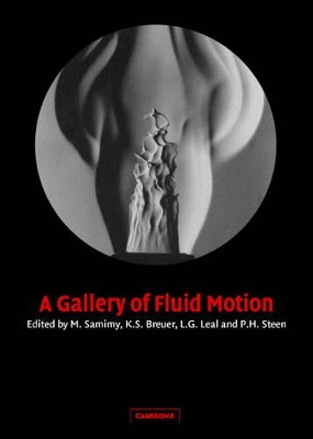 A Gallery of Fluid Motion by M. Samimy