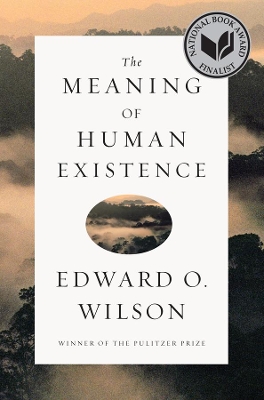 Meaning of Human Existence book