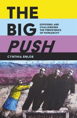 The Big Push by Cynthia Enloe