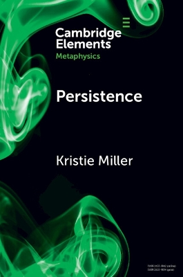 Persistence book