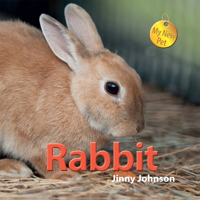 My New Pet: Rabbit book