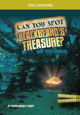 Can You Spot Blackbeard's Treasure?: An Interactive Treasure Adventure book