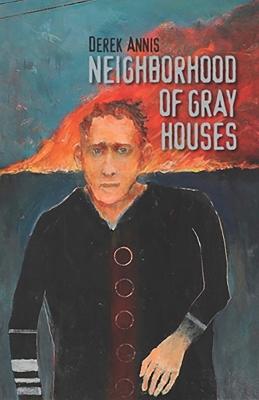 Neighborhood of Gray Houses book