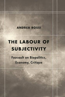 Labour of Subjectivity book