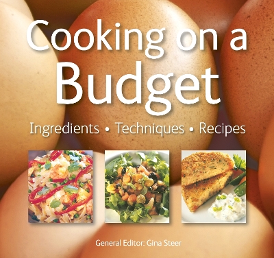 Cooking on a Budget book
