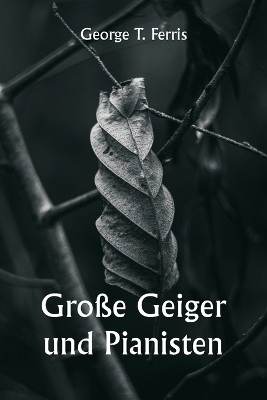 Große Geiger und Pianisten book