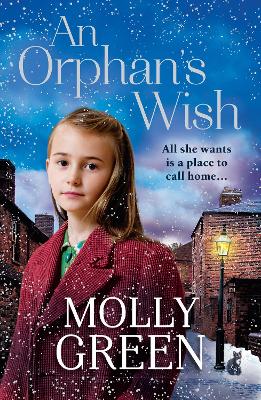 An Orphan’s Wish book