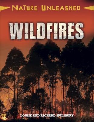 Nature Unleashed: Wildfires by Louise Spilsbury