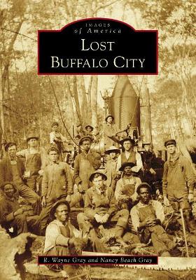 Lost Buffalo City by R Wayne Gray