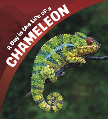 A Day in the Life of a Chameleon by Lisa J. Amstutz