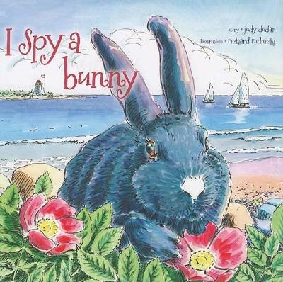 I Spy a Bunny book