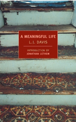 Meaningful Life book