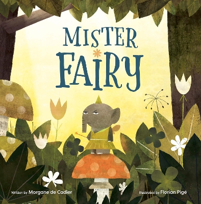 Mister Fairy book