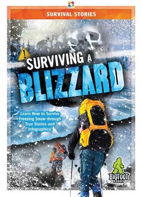 Survival Stories: Surviving a Blizzard book