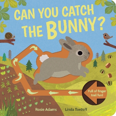 Can You Catch the Bunny? book