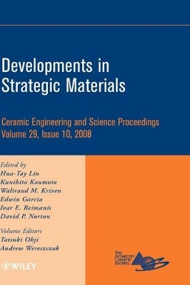 Developments in Strategic Materials book