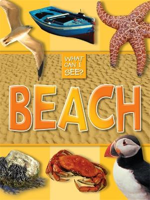 What Can I See?: Beach book