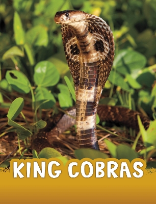 King Cobras by Jaclyn Jaycox
