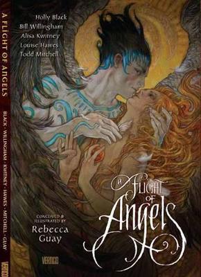A Flight Of Angels HC by Bill Willingham