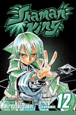 Shaman King, Vol. 12 book
