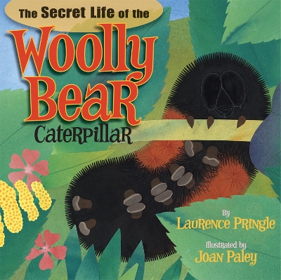 Secret Life of the Woolly Bear Caterpillar book