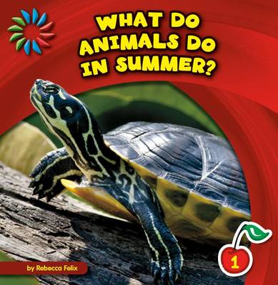 What Do Animals Do in Summer? by Rebecca Felix
