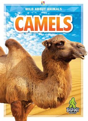 Camels book