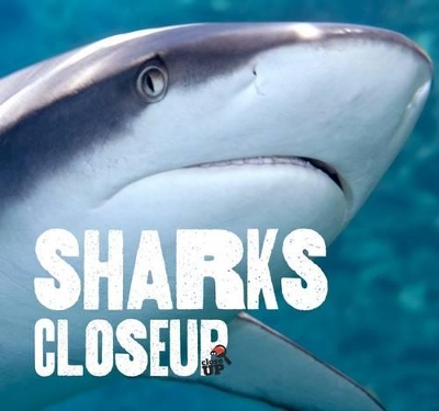 Sharks CloseUp book