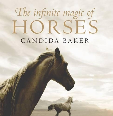 Infinite Magic of Horses by Candida Baker