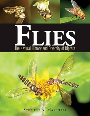 Flies book