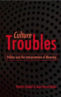 Culture Troubles: Politics and the Interpretation of Meaning book