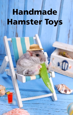 Handmade Hamster Toys: Make cheap hamster toys from cardboard, string and lollypop sticks book