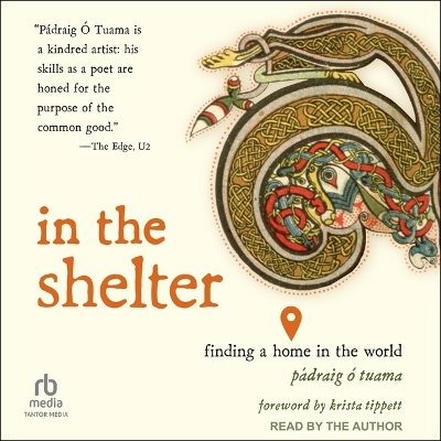 In the Shelter: Finding a Home in the World by Pádraig Ó Tuama