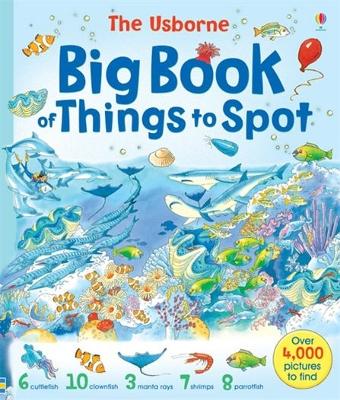Big Book of Things to Spot book