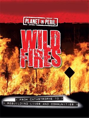 Planet in Peril: Wild Fires book