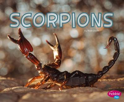 Scorpions by Rose Davin