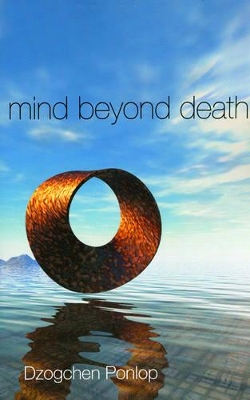 Mind Beyond Death book