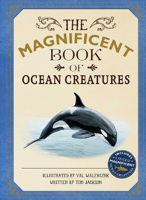 The Magnificent Book of Ocean Creatures by Tom Jackson