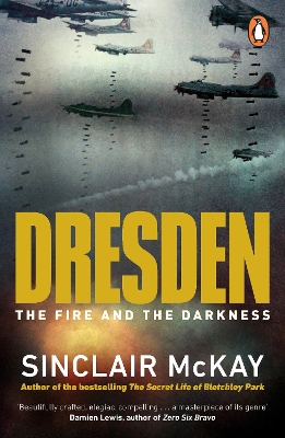 Dresden: The Fire and the Darkness book