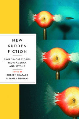 New Sudden Fiction book