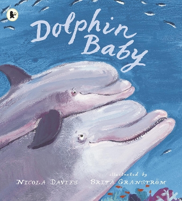 Dolphin Baby book