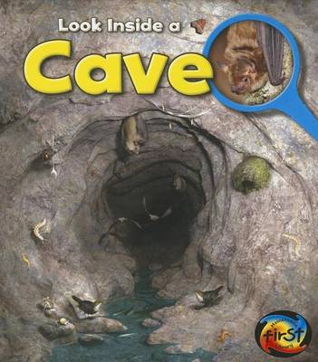 Cave by Richard Spilsbury