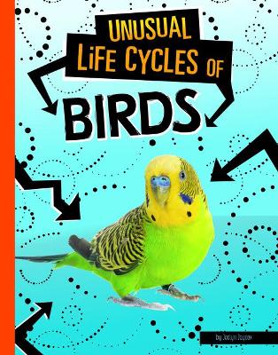Unusual Life Cycles: Birds by Jaclyn Jaycox