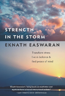 Strength in the Storm book