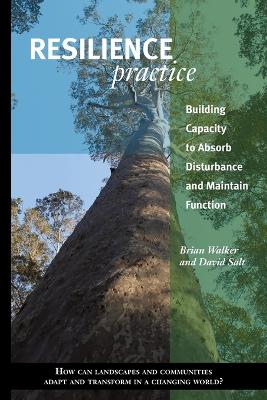 Resilience Practice by Brian Walker