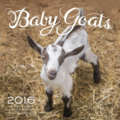 Baby Goats 2016: 16-Month Calendar September 2015 through December 2016 book