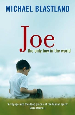 Joe book