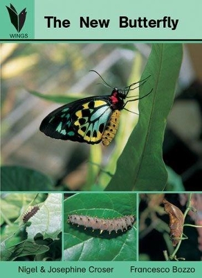 The New Butterfly: Big Book book